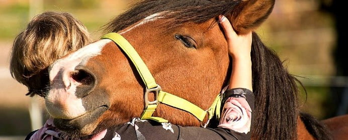 elevation-coaching-cheval